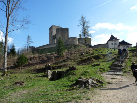 Staré Město pod Landštejnem, Hrad Landštejn